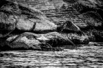 105_0021.jpg