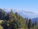 20210925_114416.jpg