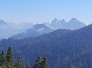 20210925_114420.jpg
