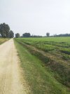 IMG_20210911_115244.jpg
