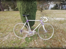 AD5C9801-7290-4054-8326-B2C007BE15F0.png