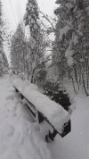 20210320_123759.jpg