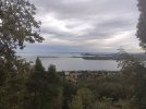IMG_20211007_161703.jpg