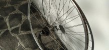 IMG_20211006_100041.jpg