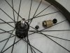 DSC02678.jpg