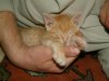 DSCF0008.jpg