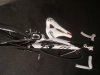 DSCF1772.jpg