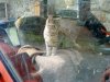 DSC00025.jpg