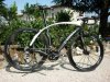 phipra con lighweight e elion 006.jpg