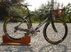 bianchi 2.jpg