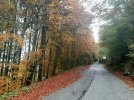 20211022_161029.jpg