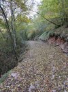 IMG20211028112552.jpg