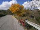 IMG_20211031_122029.jpg