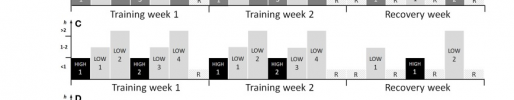 Screenshot 2021-10-25 at 18-36-31 Polarized training has greater impact on key endurance varia...png Screenshot 2021-10-25 at 18-36-31 Polarized training has greater impact on key endurance varia...png