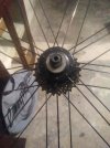 IMG_20211105_070611.jpg