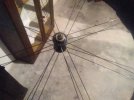 IMG_20211105_070516.jpg