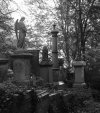 highgate-autunno.jpg highgate-autunno.jpg
