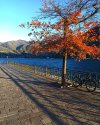 IMG_20211107_131607_107.jpg