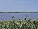 20210703_125732.jpg 20210703_125732.jpg