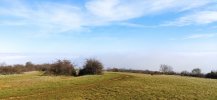IMG_20211112_120553.jpg