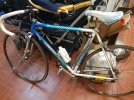 Colnago.jpg