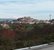 IMG_20211114_102510.jpg