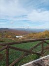 IMG_20211114_100441.jpg