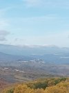 IMG_20211114_100553.jpg