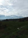 IMG_20211114_114031.jpg