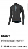 Giubbino invernale Giant mod. diversion protextura