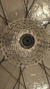 PXL_20211117_200408606.jpg