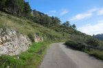DSCN7466.JPG