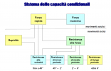 immagine_2021-11-19_134444.png immagine_2021-11-19_134444.png