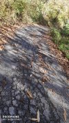 IMG_20211120_134104.jpg
