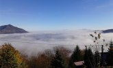 Nebbia_Mortera.jpg Nebbia_Mortera.jpg