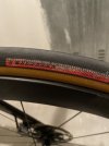 copertoncini Specialized Turbo Cotton 24mm