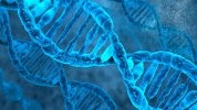 genetica-e-genomica-box.jpg genetica-e-genomica-box.jpg