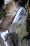 _DSC7238_00001.jpg