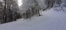 20211128_130947.jpg