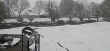 20211129_143049.jpg