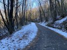 5A143552-97C9-4286-BD55-8F3476E0A34B.jpeg
