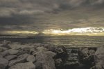 IMG_1404.jpg