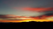20211204_071131.jpg