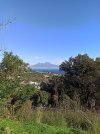 IMG_20211204_123026.jpg