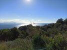 IMG_20211204_122854.jpg