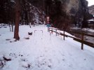 IMG_20211211_164156.jpg