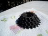 100_0503.jpg