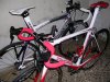 DSCN0782.jpg