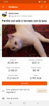 Screenshot_20211217-173726_Strava.jpg