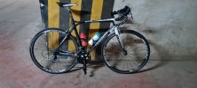 Bici da Corsa BMC TEAM MACHINE SLC01 Carbon